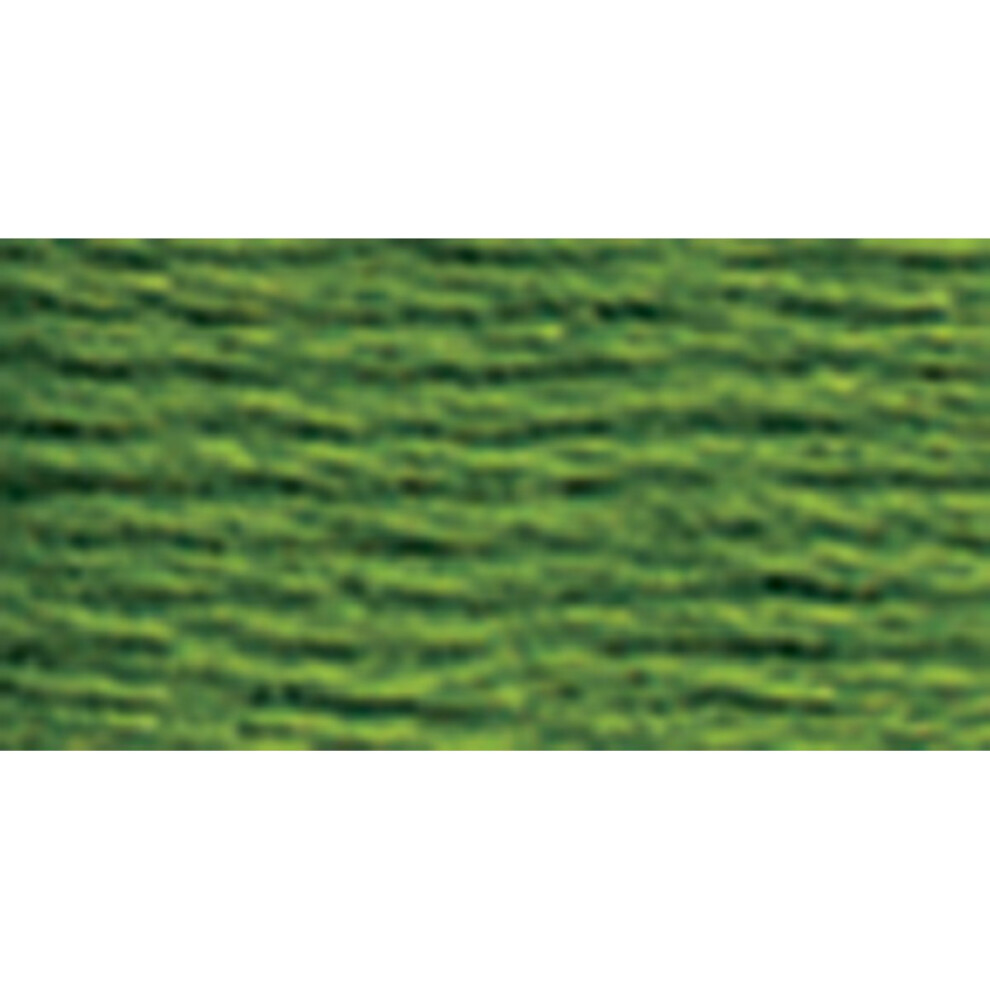 Dmc 6-Strand Embroidery Cotton 8.7yd-Dark Parrot Green