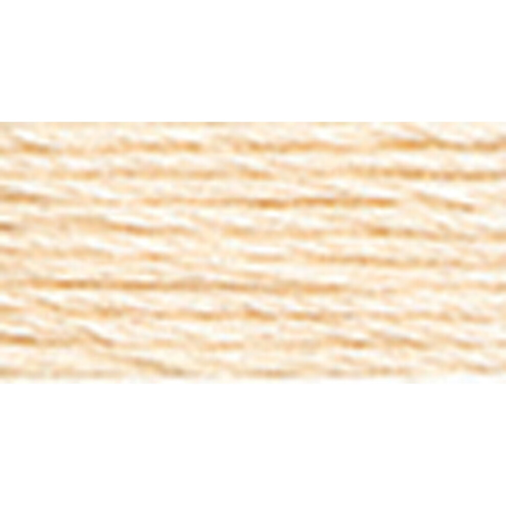 Dmc 117-3770 Mouline Stranded Cotton Six Strand Embroidery Floss Thread Tawny 8.7-Yard Light