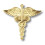 Prestige Medical Abzeichen-Pin, Caduceus 1