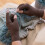 Dritz Comfort 1 ?e????? ???t?a Crafters ???e??? Medium (2 te????a) ?af? 2