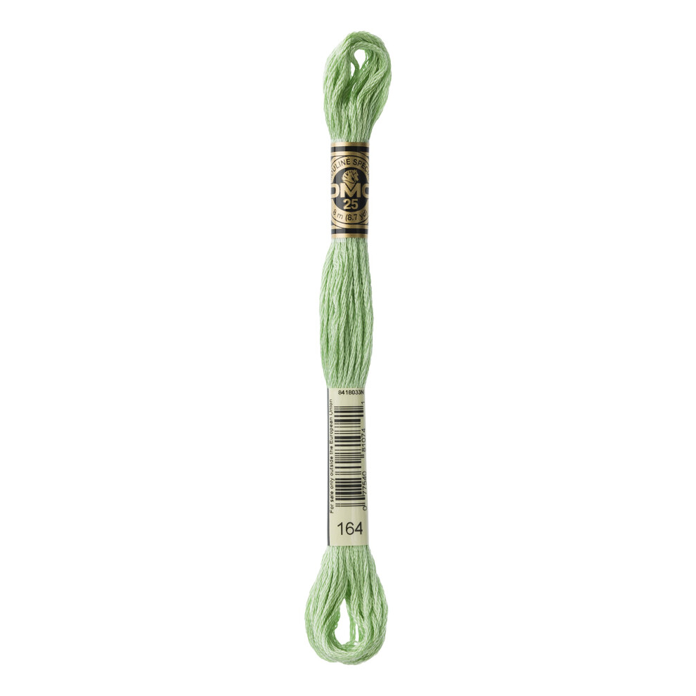 DMC Thread 6-Strand Embroidery Cotton 8.7 Yards Light Forest Green Lighter Than 989 117-164 (12-Pack)