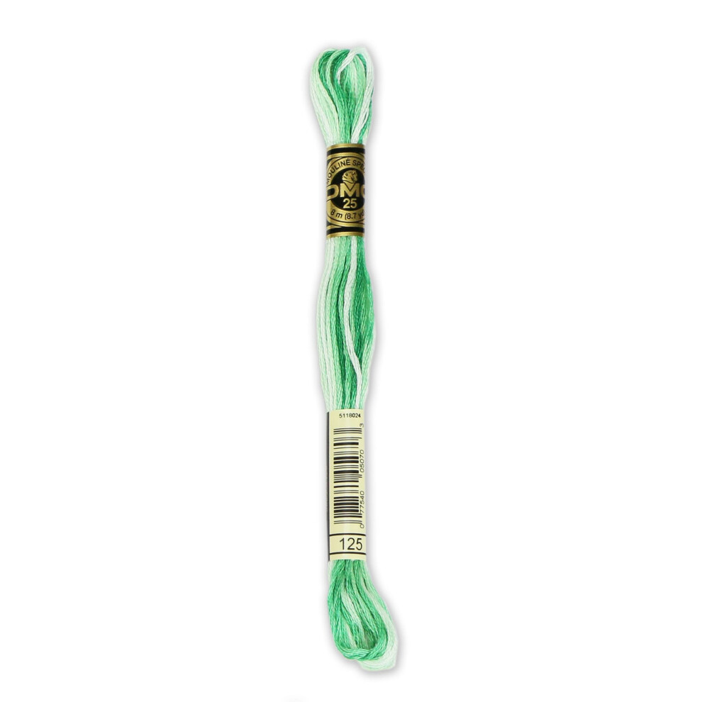 Dmc 6-Strand Embroidery Cotton 8.7yd-Variegated Seafoam Green