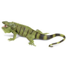 Safari Ltd. Iguana-figuur - Levensecht model van 28 cm - Educatief speelgoed voor jongens, meisjes en kinderen vanaf 3 jaar