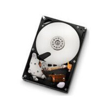 1 TB SATA II 32 MB