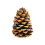 Winter Woods Cinnamon Pinecone parfumate 12-14/PKG mari 2