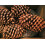 Winter Woods Cinnamon Pinecone parfumate 12-14/PKG mari 3