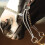 Hackamore Classic Equine Carol Goostree με καλυμμένη αλυσίδα, 8.75 ίντσες 2