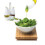 Conjunto de Cruet Prepara, Cromado 3