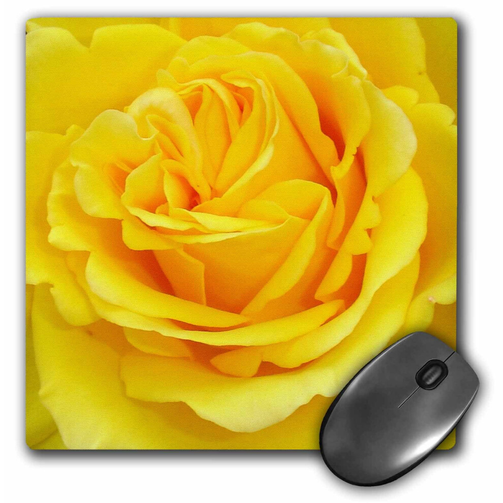 3Drose Llc 8 X 8 X 0.25 Inches Mouse Pad Rose (Mp_21383_1) Yellow 489021383017