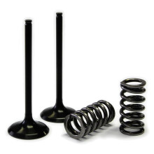 ProX Racing Parts 28.SIS1336-2 Einlassventil und Federsatz aus Stahl, Schwarz