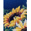 1056 Zonnebloemen 5