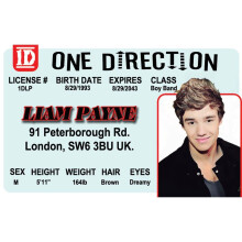 Patente di guida parodia Signs 4 Fun | Liam Payne ID | Carta d'identit    falsa | Patente di guida da collezione | Regalo originale per le feste |