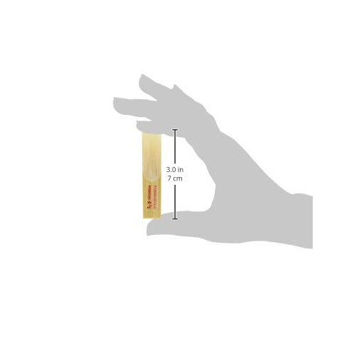 Fibracell-Saxophonteil (FBCA4.5) 2