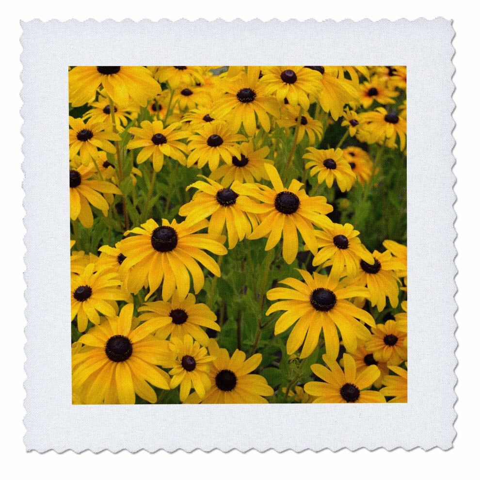 3Drose Qs_27478_4 Carr De Courtepointe Florale Black Eyed Susans Ii, 30,5 X 30,5 Cm-image
