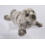 Douglas Miki Seal (4) 1