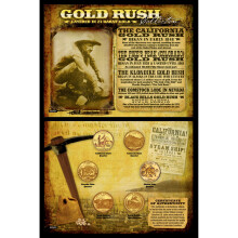 Collezione Gold Rush di American Coin Treasures