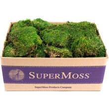 SuperMoss (21538) Mood Moss, konserviert, frisch, gr n, 3 Pfund