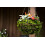 Supermoss (25320) Moss 3