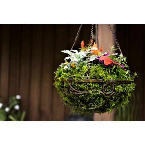Supermoss (25320) Moss 2