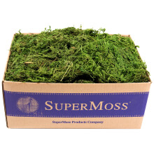 SuperMoss (25325) Waldmoos, konserviert, frisch, gr n, 3 Pfund