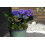 Supermoss (25320) Moss 4