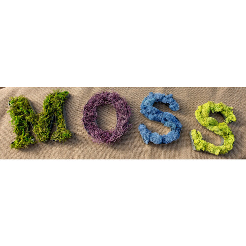 SuperMoss (25325) F??s?? p??s??? ???? d?s??? se ???s???a 3 ????e? 2