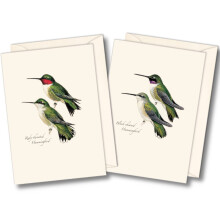 Earth Sky + Water - Set de Tarjetas de Hummingbird de Peterson - 8 Tarjetas en Blanco con Sobres (4 de cada estilo)