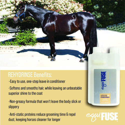 EquiFUSE R 2