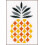 Vervaco Telpakket Ananas PN-0156112 1
