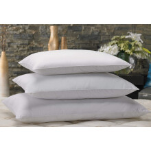 Marriott Down Alternative Eco Pillow ? hypoallergenes, umweltfreundliches Kissen mit 100 % recycelter F   llung (Euro)