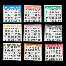 Bingopapperskort - 1 kort - 9 ark - 100 bcker - Spela 9 spel - 4 tums kvadratisk storlek - 900 engngskort - Inga dubbletter av kort efter frg