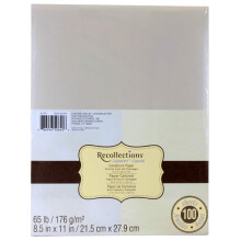 MICHAELS Shimmer Prata e Champanhe 8,5; x11; Papel Cartolina por Recollections 100 Folhas