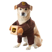 Morris Kostme CC20151MD Pet UPS Pal Medium