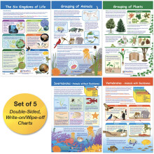NewPath Learning - 94-3502 The Six Kingdoms Bulletin Board Charts 12 x 18 tommer fuldfarve s?t med 5