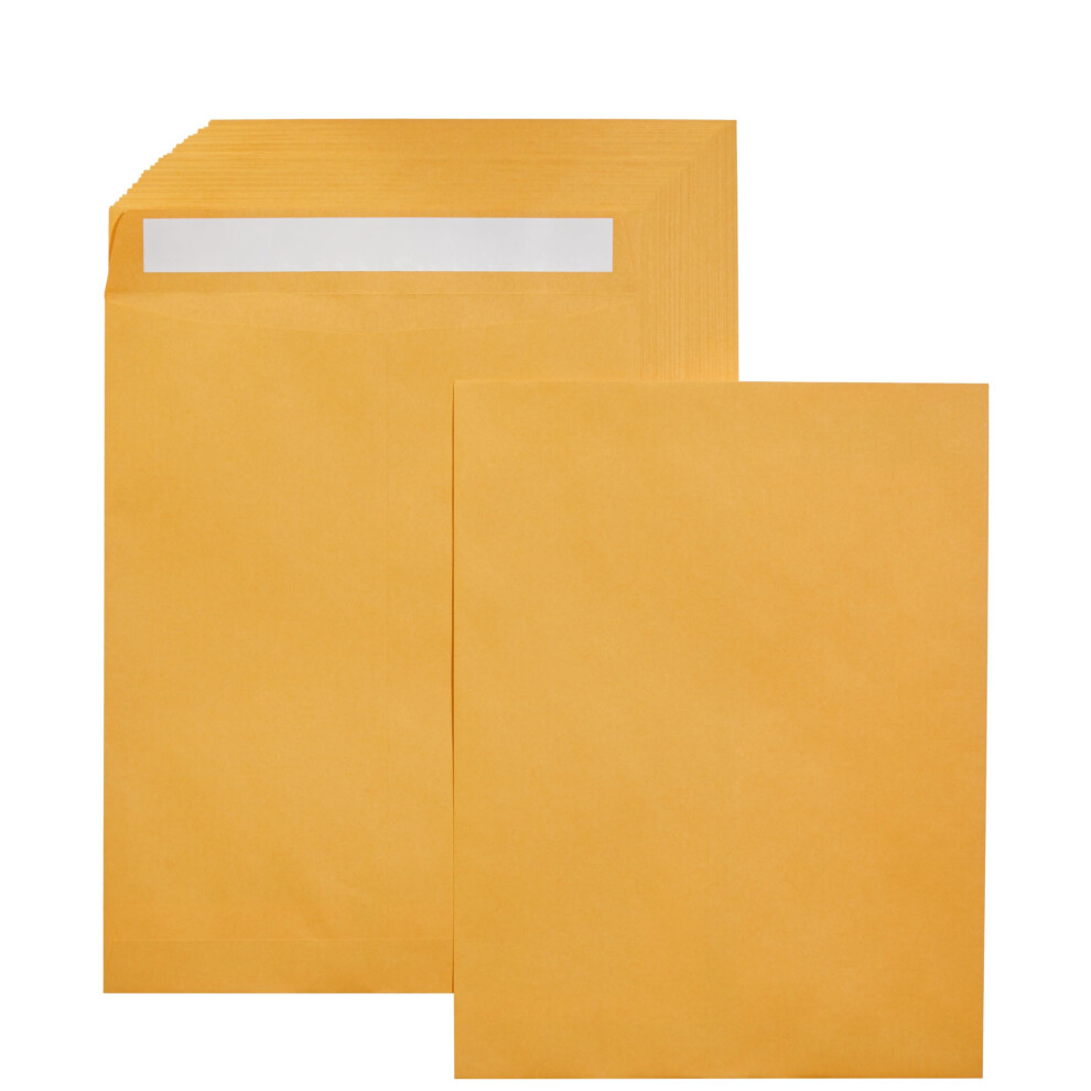 Amazon Basics Catalog Mailing Envelopes  Peel and Seal  10x13 Inch  Brown Kraft  100-Pack