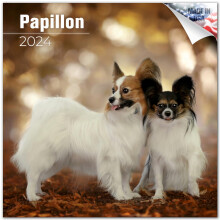 2023 2024 Papillon Calendar - Dog Breed Monthly Wall Calendar - 12 x 24 Open - Thick No-Bleed Paper - Giftable - Academic Teacher's Planner Calen
