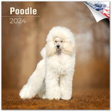 2023 2024 Poodle Calendar - Dog Breed Monthly Wall Calendar - 12 x 24 Open - Thick No-Bleed Paper - Giftable - Academic Teacher's Planner Calendar Org