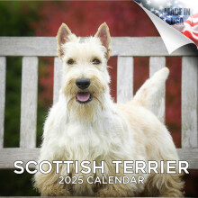 2024 2025 Schotse Terri? Kalender - Hondenras Maandelijkse Wandkalender - 12 x 24 Open - Dik No-Bleed Paper - Cadeaubaar - Academische lerarenplanner