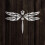 Dragonfly 4