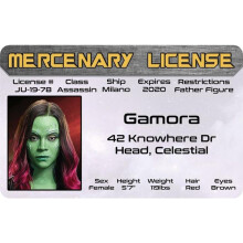 Signs 4 Fun Parodie Rijbewijs | Gamora ID | Nep ID Verzameling Kaart | Grappig Cadeau voor Feestdagen | Made in