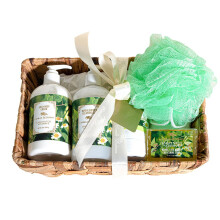 Camille Beckman Essentials ajndkkosr E-vitamin illatmentes glicerines kzterpia 6 uncia selymes testpol krm 13 uncia kz- s tusfrdo tisztt
