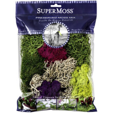 SuperMoss (23311) Elegantes dekoratives Mischmoos MultiColor 120 cu.in. wei