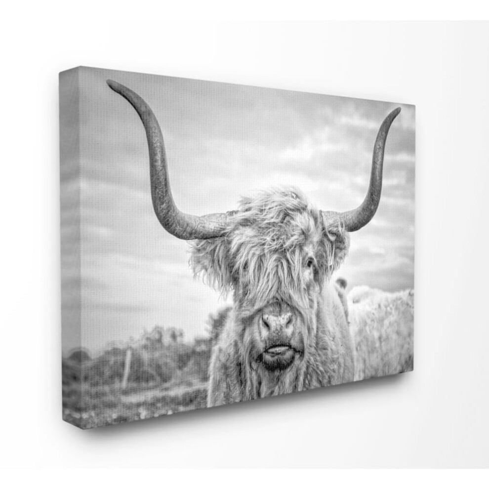 Photographie De Vache Highland En Noir Et Blanc De Stupell Industries, Toile Murale Con Ue Par Joe Reynolds 24 X 30-image