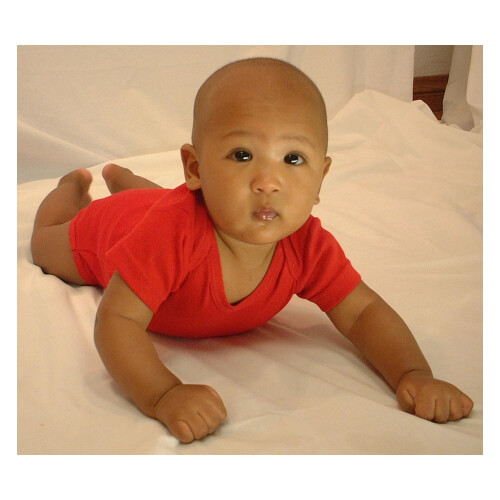 Macaco Bambini Vermelho Onezies (pacote com 3) 1