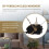 Quartz Pendulum Trigger Clock Movement Chime with 4 Pairs Clock Hands 6