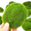 32PCS 5 Size Rocks Decorative Green Moss Balls 3