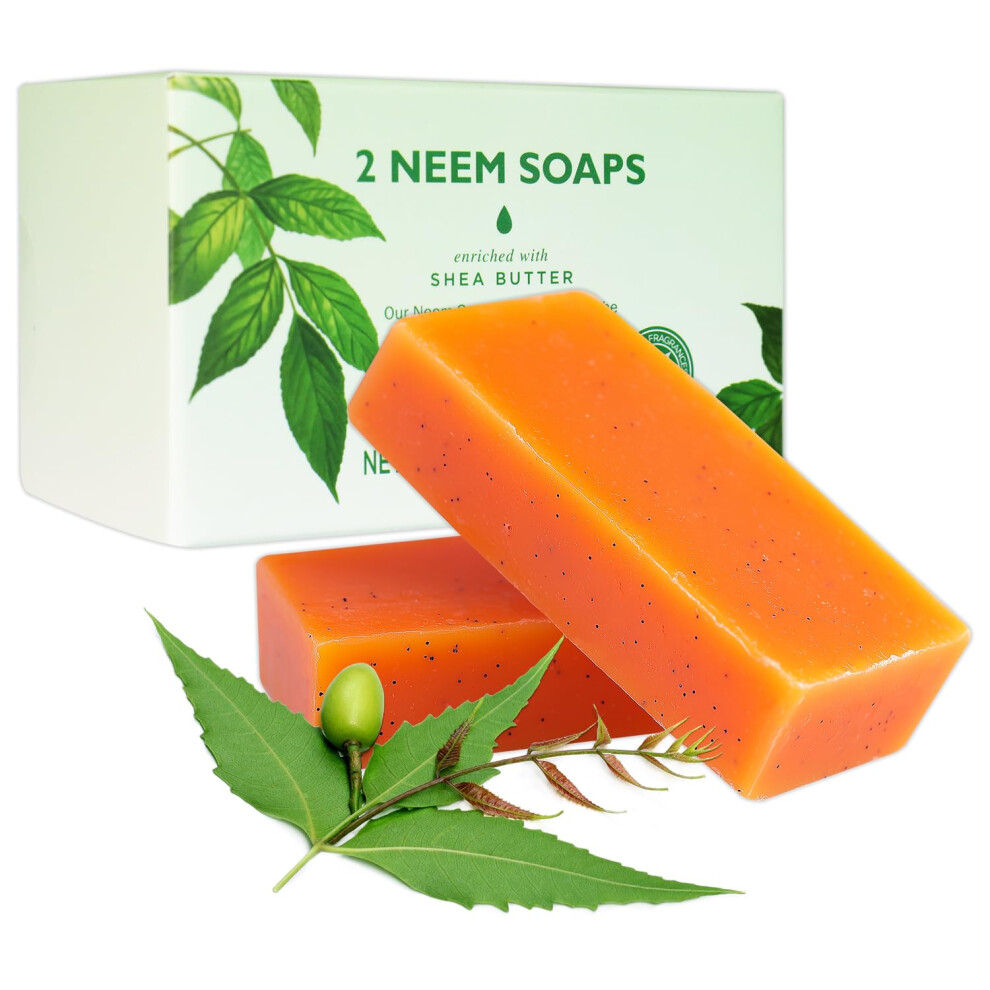 Princess Belle Neem Soap  Exfoliating and Moisturizing Bar Soap for Dirt  Natural Soap Bar for Face and Body  Suitable for All Types Skin  2 Pack