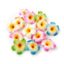 10 kpl Monivδriset Hawaii Plumeria -kukkaklipsit Hawaiian Flower Hiukset Barrettes Beach Party -hiusklipsit Keinotekoiset trooppiset kukat Hiusneulat