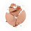 T.Leclerc Bronzing Powder 02 Soleil Cuivr? 2