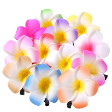 10 stuks kleurrijke Hawaii Plumeria bloemclips Hawaiiaanse bloem haarspeldjes strandfeest haarclips kunstmatige tropische bloem haarspelden voor brui